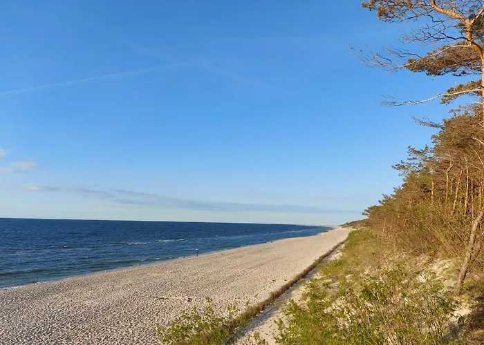 Apartment U Moniki *